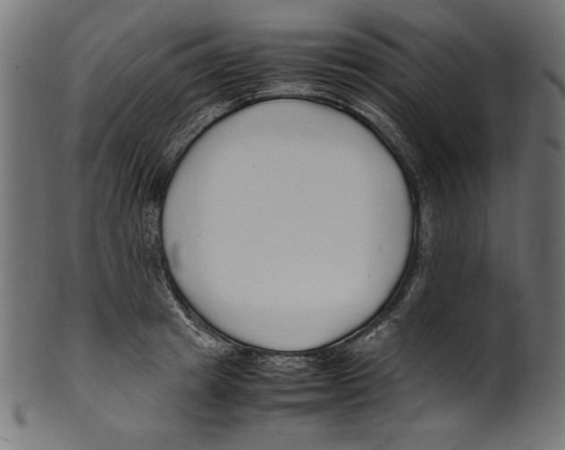 X0000100850849200807181054