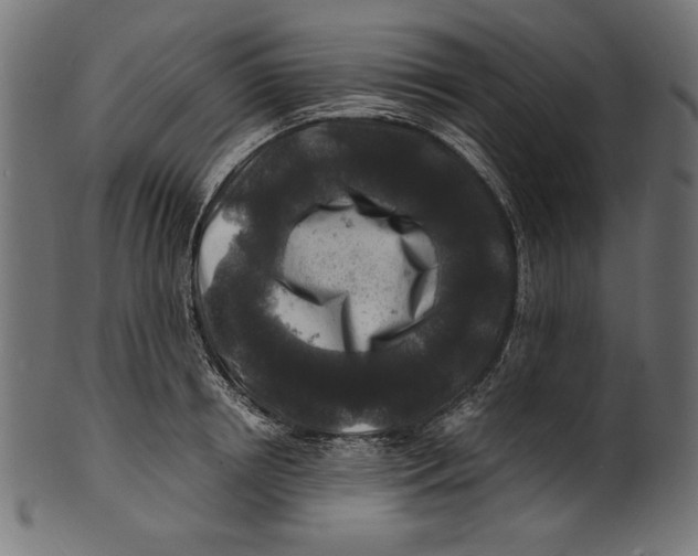 X0000100850850200807181054