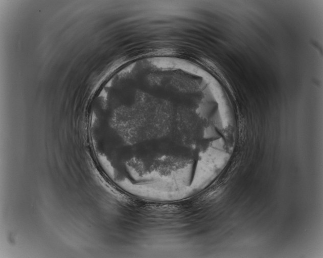 X0000100850851200807181054