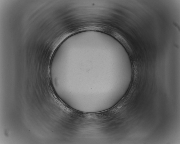 X0000100850852200807181054