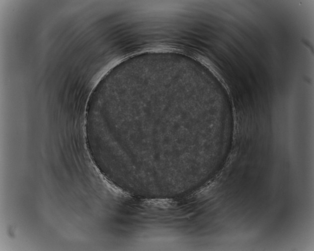 X0000100850853200807181055