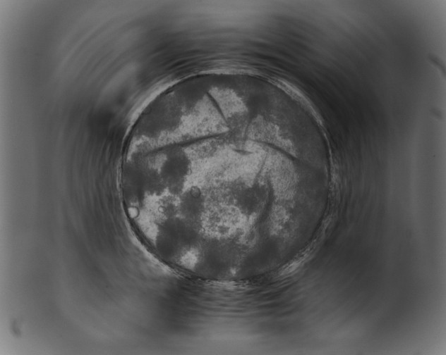 X0000100850855200807181055