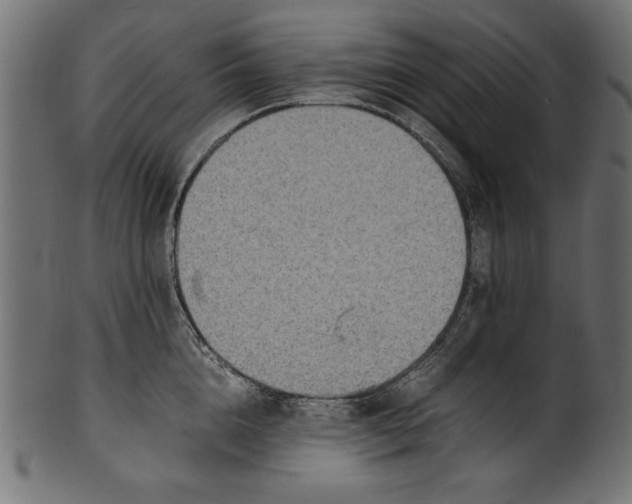 X0000100850856200807181055