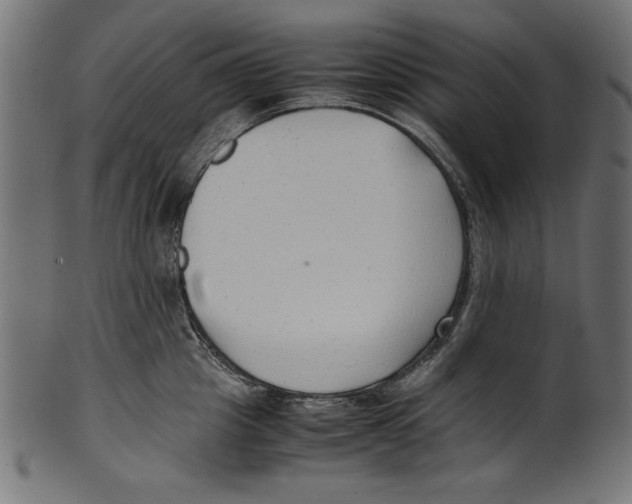 X0000100850857200807181055