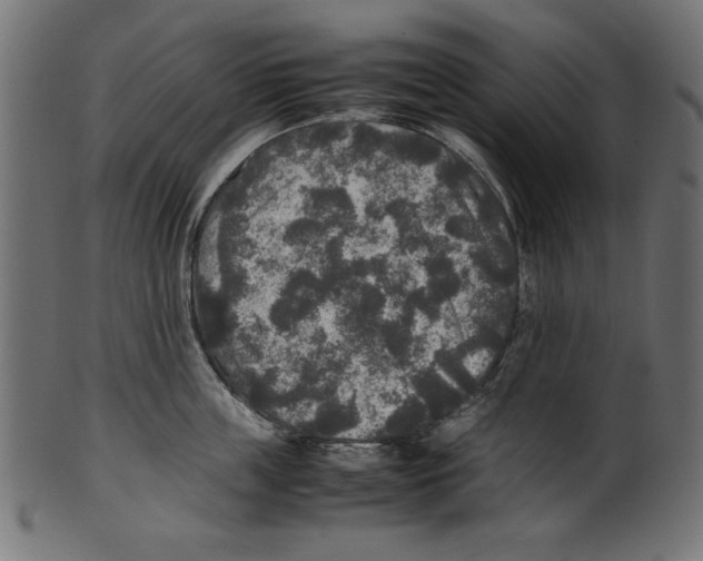 X0000100850859200807181055