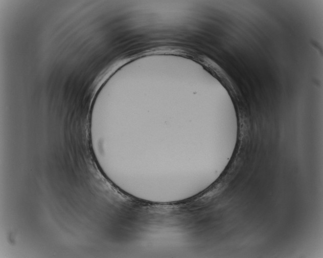 X0000100850860200807181055