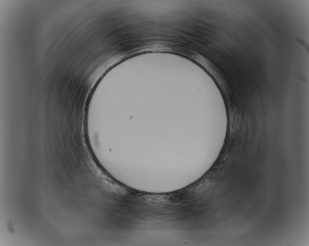 X0000100850861200807181055