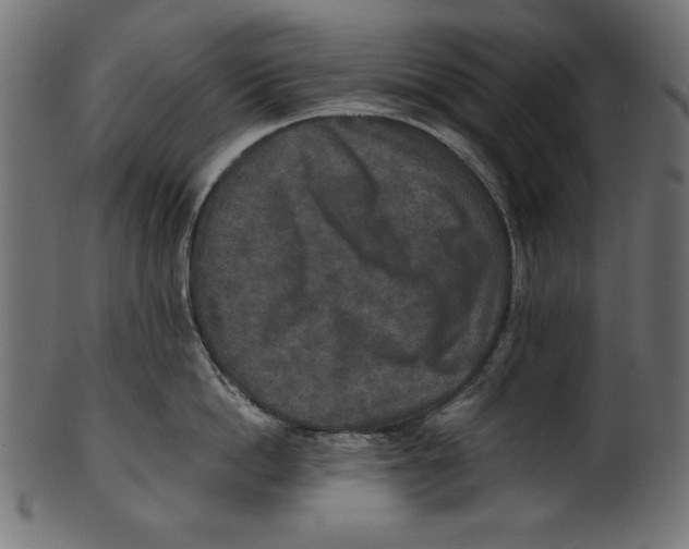 X0000100850862200807181055