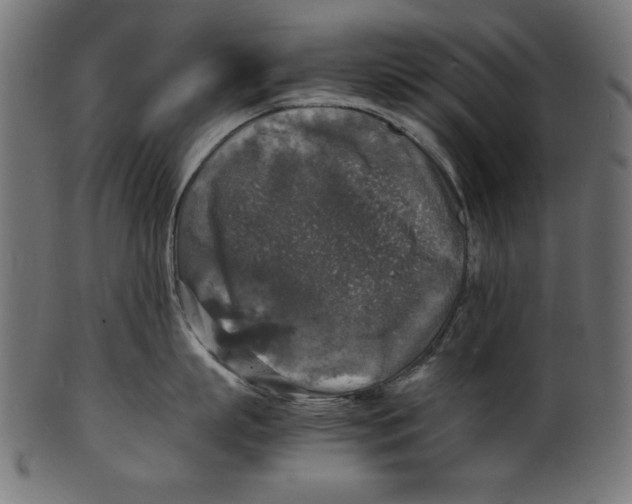 X0000100850863200807181055