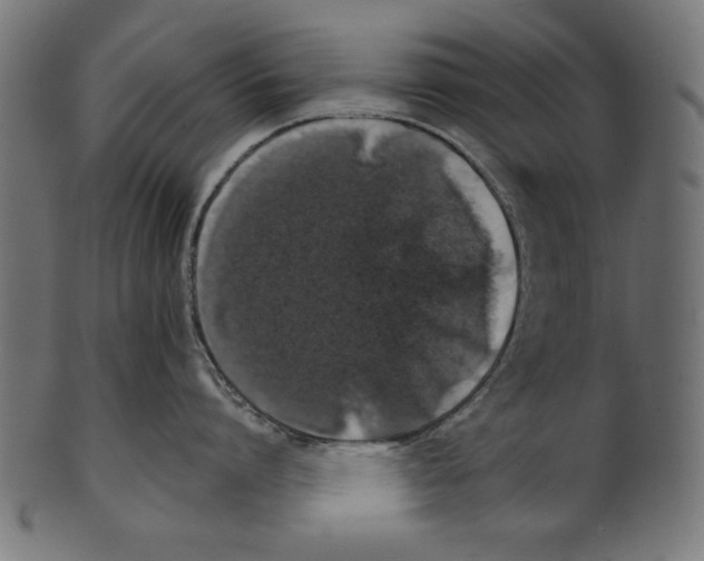 X0000100850864200807181055