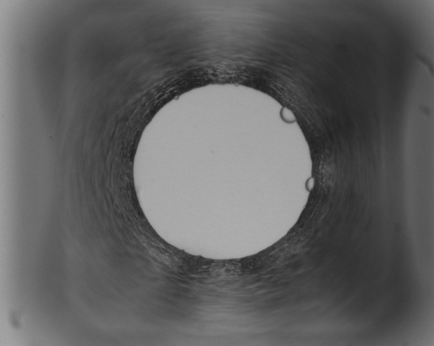 X0000100850865200807181054