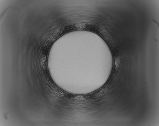 X0000100850867200807181054