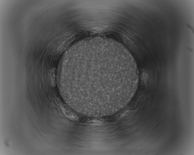 X0000100850868200807181054