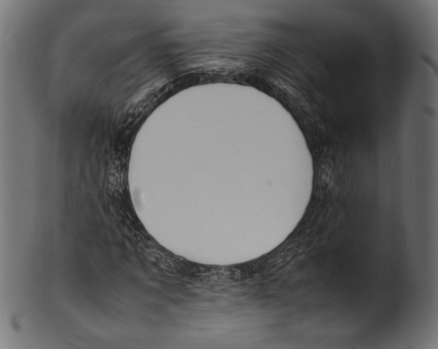 X0000100850869200807181054