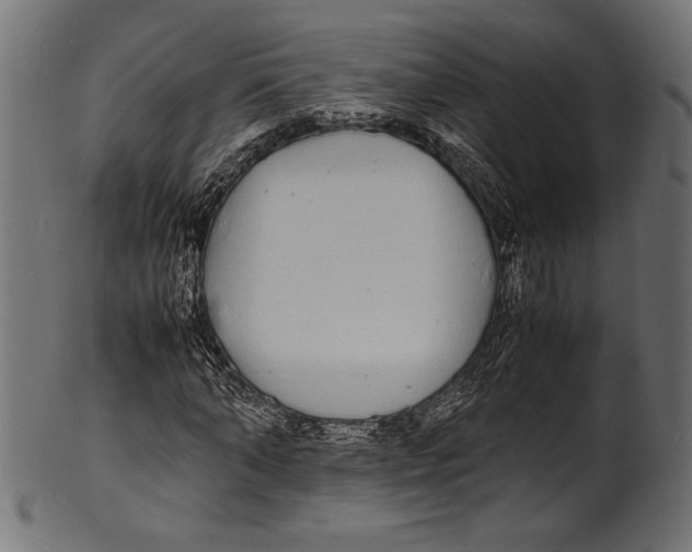 X0000100850870200807181054