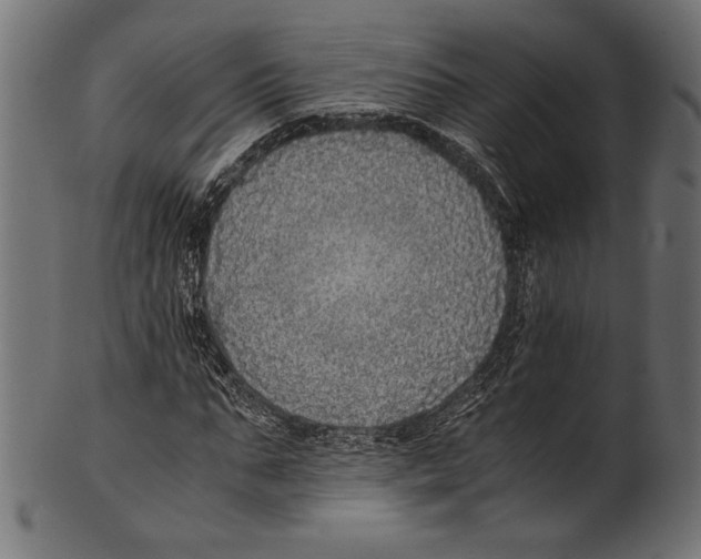 X0000100850871200807181054
