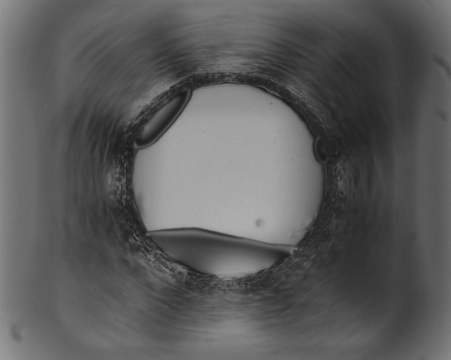 X0000100850872200807181054