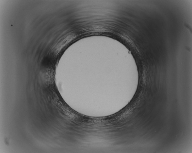 X0000100850873200807181054