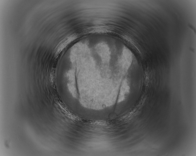 X0000100850874200807181054