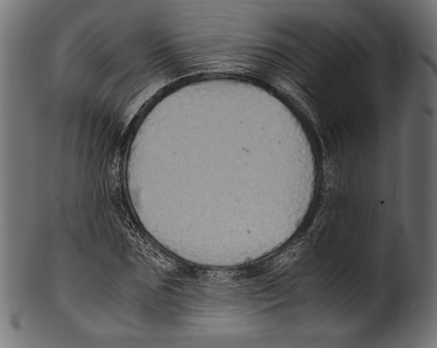 X0000100850875200807181054