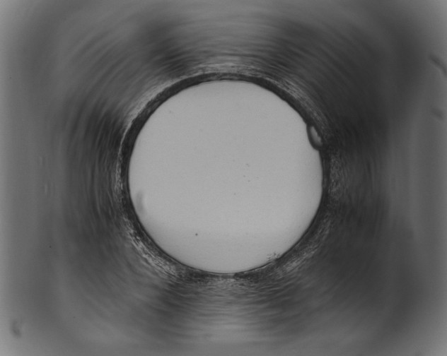X0000100850880200807181054