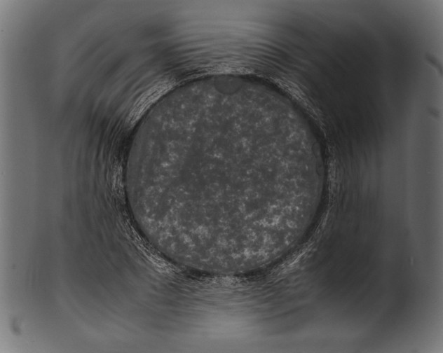 X0000100850881200807181054