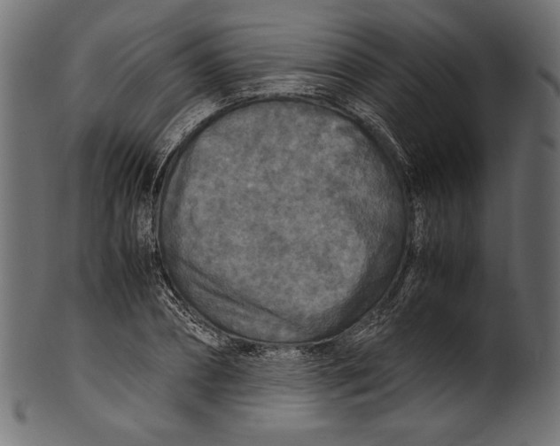 X0000100850882200807181054