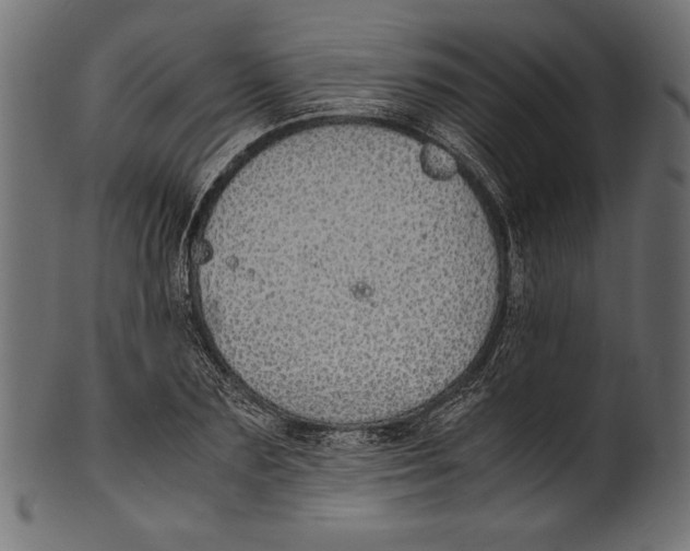 X0000100850883200807181054