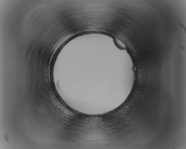 X0000100850884200807181054