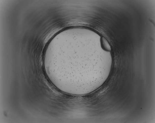 X0000100850885200807181054