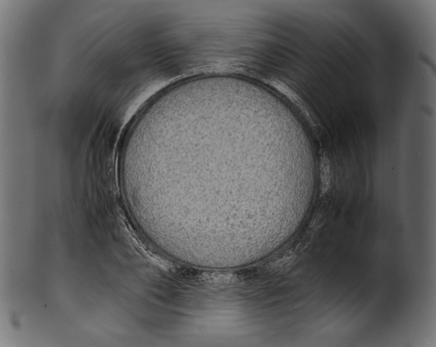 X0000100850886200807181054