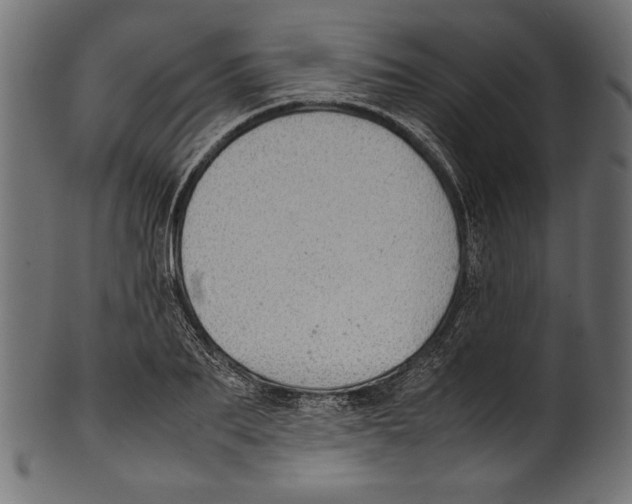 X0000100850887200807181054