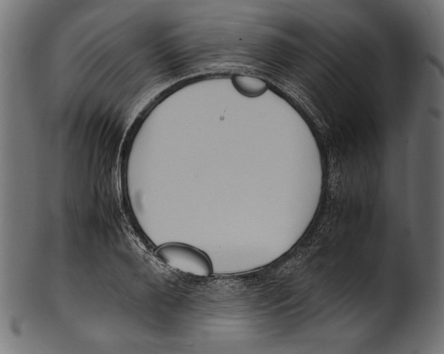 X0000100850888200807181054