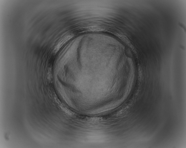 X0000100850889200807181054