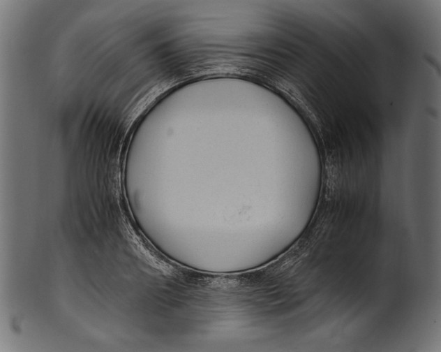 X0000100850890200807181054