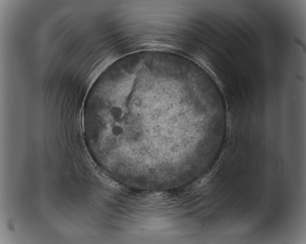 X0000100850891200807181053