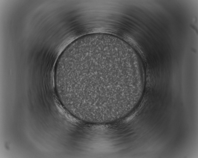X0000100850892200807181053