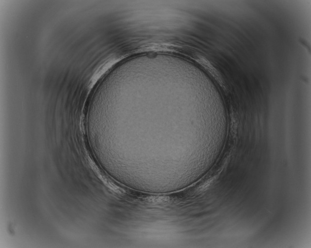 X0000100850893200807181053