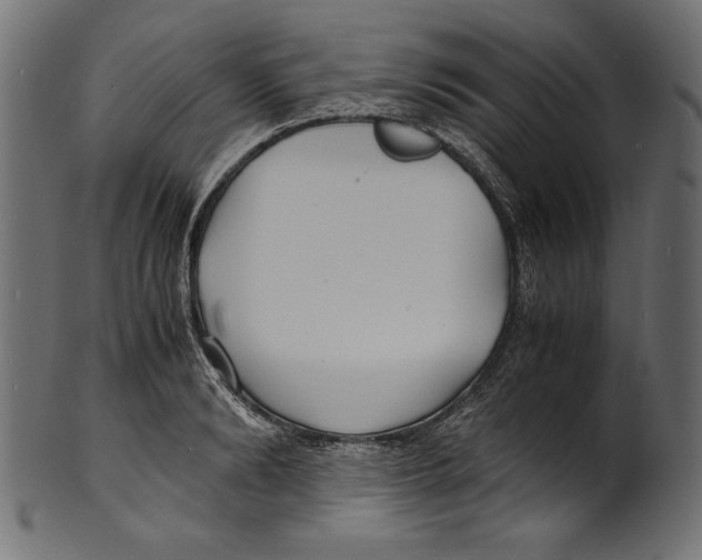 X0000100850894200807181053