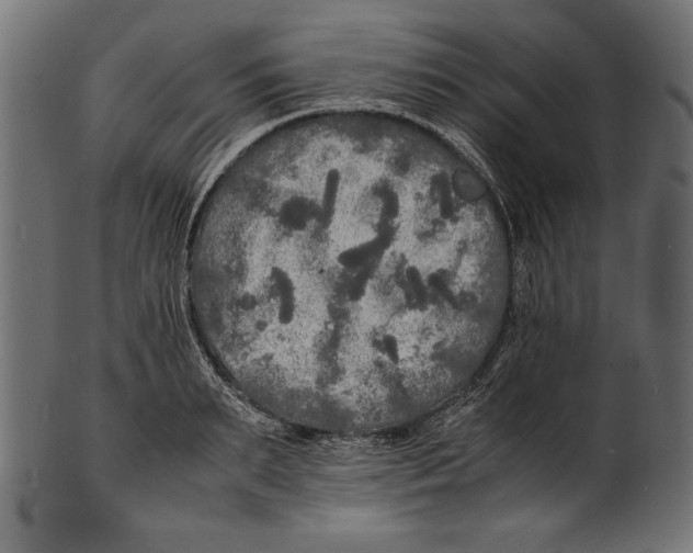X0000100850895200807181053