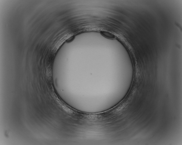 X0000100850897200807181053