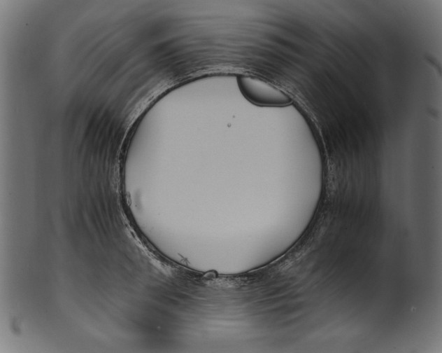 X0000100850898200807181053