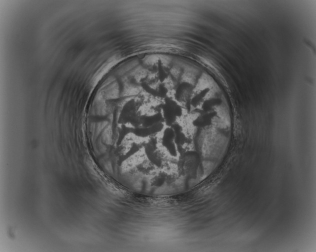 X0000100850899200807181053