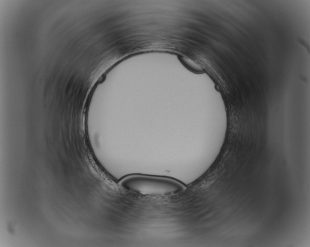 X0000100850900200807181053