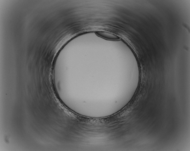 X0000100850901200807181053