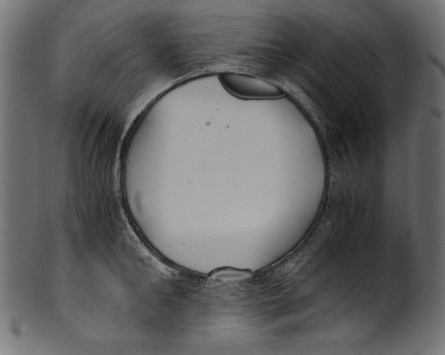 X0000100850902200807181053
