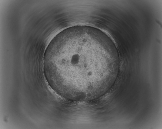 X0000100850903200807181053