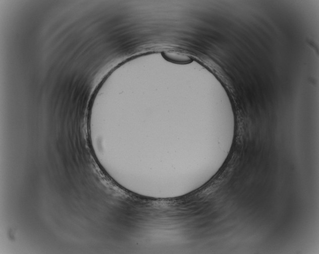 X0000100850904200807181053