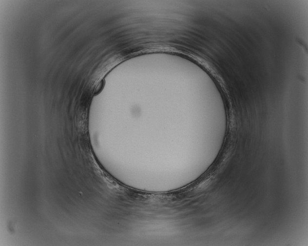 X0000100850905200807181053