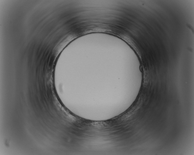 X0000100850906200807181053